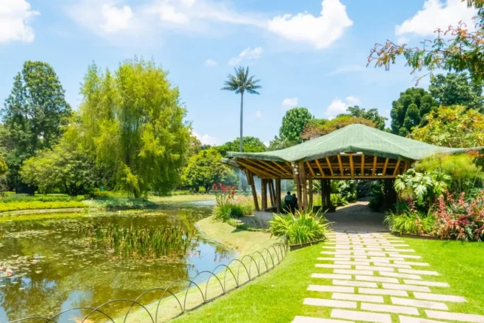 Director del Jardín Botánico destaca remodelación más importante desde su inauguración