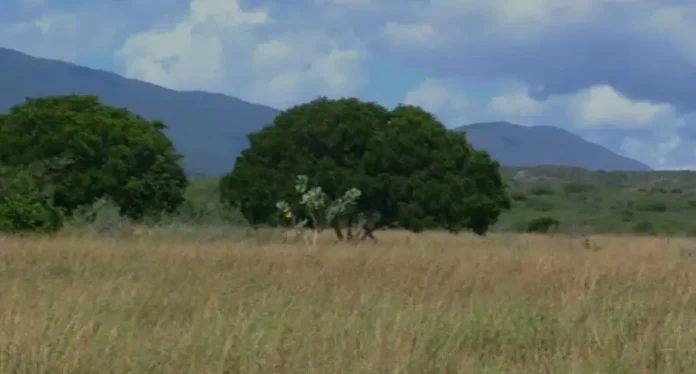 Agricultores de Tábara Abajo denuncian presunto intento de apropiación de tierras
