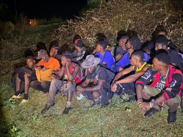 Interceptan a 47 migrantes haitianos indocumentados en la zona fronteriza